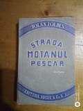 Strada motanul pescar-Jolan Foldes