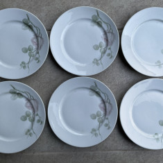 Set de sase farfurii interbelice pentru prajitura din portelan german ROSENTHAL