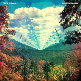 Tame Impala Innerspeaker digipack (cd), Rock