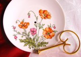 PLATOU PORTELAN BERRY HAUTE FRANTA CU MANER ALAMA DECOR FLORI DE MAC 19 CM