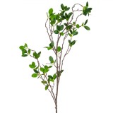 Ramură Decorativă cu Frunze, 108cm, Verde, Plastic, Oem
