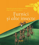 Furnici și alte insecte - Hardcover - Olivia Brookes - Nemira