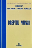 Cumpara ieftin Dreptul muncii - 2008 - Roxana Lazar (K372)
