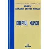 Dreptul muncii - 2008 - Roxana Lazar (K372)