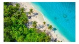 Tablou Canvas, "Plajă tropicală cu nisip alb.", Plajă, Nisip, Palmieri, Apă, Albastru, Vegetație, Verde, Cer, Relaxare, 39 x 26 cm, CMCLASS