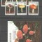 Benin 1997 Mushrooms, set+perf. sheet, MNH S.205