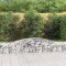 vidaXL Coșuri gabion arcuite 6 buc, 400x30x40/60 cm, fier galvanizat 3146831