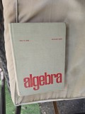 Algebra - Ion D. Ion, Nicolae Radu