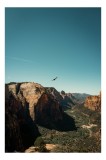 Tablou Canvas pe st&acirc;nșe, scenă naturală cu vultur, 26 x 39 cm, CMCLASS