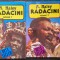 RADACINI - Haley (2 volume)