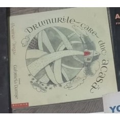 Florina Jinga, Gabriela Damse - Drumurile care duc Acasa
