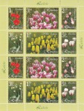 ROMANIA 2006 LP1716 a LALELE MINICOALA DE 12 TIMBRE MNH