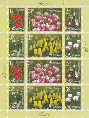 ROMANIA 2006 LP1716 a LALELE MINICOALA DE 12 TIMBRE MNH foto