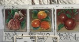 (B ) Timbre serii Straine Flora Fructe Ungaria, Stampilat