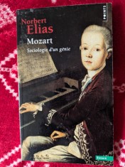 Norbert Elias, Mozart Sociologie d&#039;un g&eacute;nie
