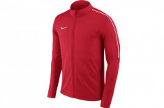 Hanorac sport Nike Park 18 Hoodie AA2059-657 pentru Barbati foto