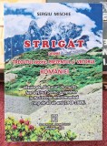 Strigat despre trecutul istoric, prezentul si viitorul Romaniei - Sergiu Mischie