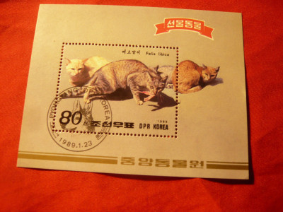 Bloc Coreea 1989 - Fauna - Pisici , stampilat foto