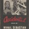 Accidentul - Mihail Sebastian