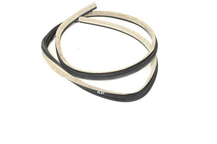 Garnitura ușă dreapta spate CHRYSLER 300 C LX 2007 OEM: 1DD66BD1AC