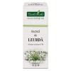 Tinctura Leurda 50ml PlantExtrakt