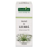 Tinctura Leurda 50ml PlantExtrakt
