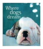 Kit Whitfield - Where dogs dream - 116259