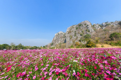 Fototapet de perete autoadeziv si lavabil Natura114, 300 x 200 cm foto