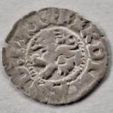 Boemia 1 pfenning (1521-64) argint Kuttenberg Ferdinand l