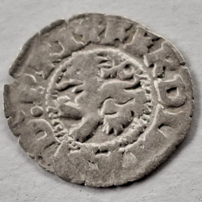 Boemia 1 pfenning (1521-64) argint Kuttenberg Ferdinand l