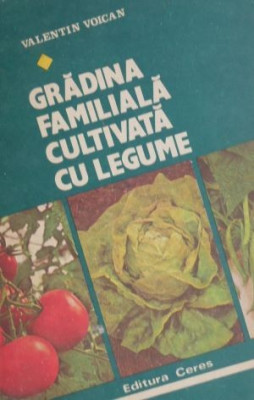 Gradina familiala cultivata cu legume &amp;ndash; Valentin Voican foto