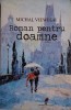 Roman pentru doamne - Michal Viewegh (Carte Noua/Anticariat, Stare Buna/Foarte Buna)