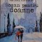 Roman pentru doamne &ndash; Michal Viewegh