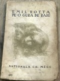 PPP. Emil Botta - Pe o gura de raiu