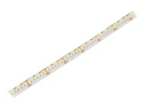 Bandă LED Alb Neutru 24V 10mm IP20