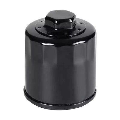 Filtru ulei Seat Toledo II, III,&amp;nbsp; Leon 1M, 1P, Inca, Ibiza II, III, IV, Cordoba 6K, 6L, Arosa, Altea 523203 030115561P-2 foto