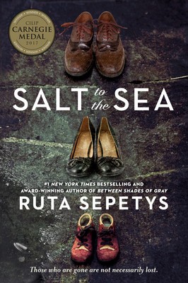 Salt to the Sea foto