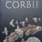 CORBII-GEORGE DAWES GREEN-237446