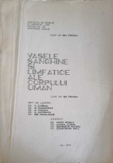 VASELE SANGHINE SI LIMFATICE ALE CORPULUI UMAN-GH. FRASIN-258517