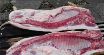 Carcasă porc de țară foto