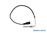 Senzor temperatura gaze dpf Fiat Doblo (2009-&gt;) [263] #1