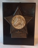 Comitetul pentru cultura fizica si sport - concurs performanta, hipism - calarie - cavalerie, 15-17 Iunie 1951 - Bucuresti - medalie, placheta Rara
