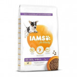 Iams Dog Puppy Small Medium Breed Pui 12 kg