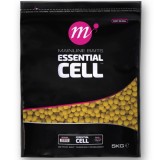 Boilies MAINLINE Shelf Life, Essential Cell, 10mm, 5kg