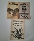 J Saramago pluta de piatra / R Arenas Castelul / F Dostoievski Amintiri
