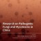 Research on Pathogenic Fungi and Mycotoxins in China