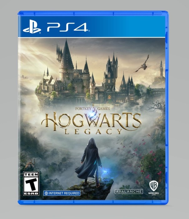 Hogwarts Legacy Playstation 4, Nou/Sigilat