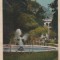 CARTE POSTALA BAILE HERCULANE Parcul