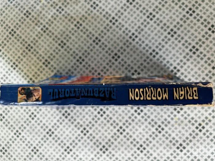 Brian Morrison - Razbunatorul