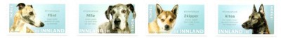 NORVEGIA 2020, Fauna - CAINI, serie neuzata, MNH foto